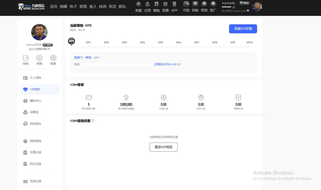 平台优惠与VIP充值特权