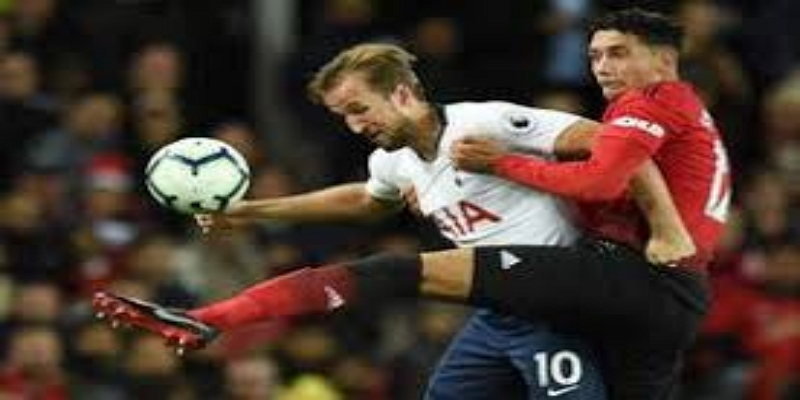 锋线核心对决：伊布与凯恩的王者较量-九游娱乐