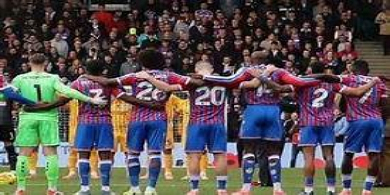 项目细节与社区影响-九游娱乐